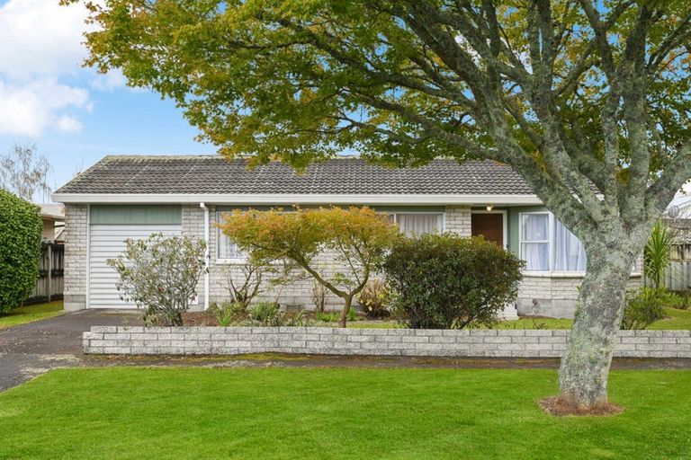 Photo of property in 15 Bains Avenue, Hamilton East, Hamilton, 3216