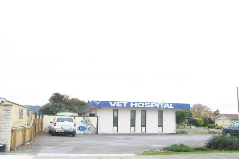 Photo of property in 135a Gloucester Street, Taradale, Napier, 4112