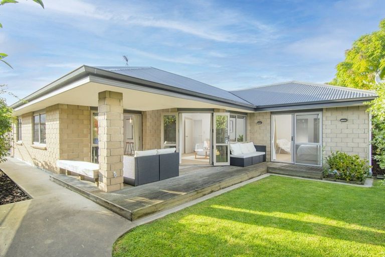 Photo of property in 99 Solomon Street, Brookfield, Tauranga, 3110