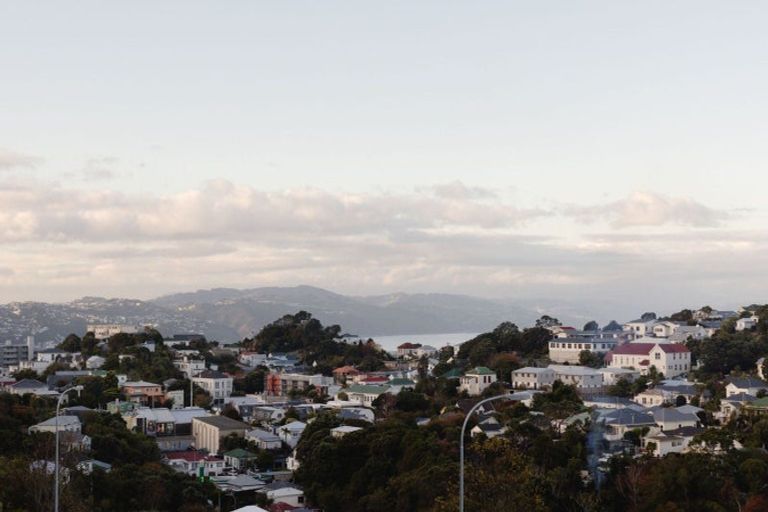 Photo of property in 119 Tiketike Way, Brooklyn, Wellington, 6021