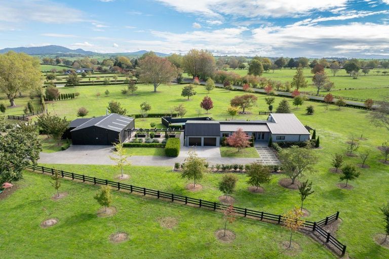 Photo of property in 18 Orchard Place, Matamata, 3472