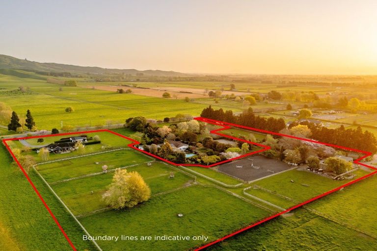 Photo of property in 365 Maungatautari Road, Cambridge, 3494