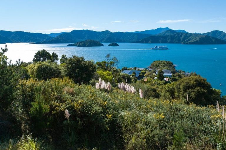 Photo of property in 318 Port Underwood Road, Whatamango Bay, Picton, 7281