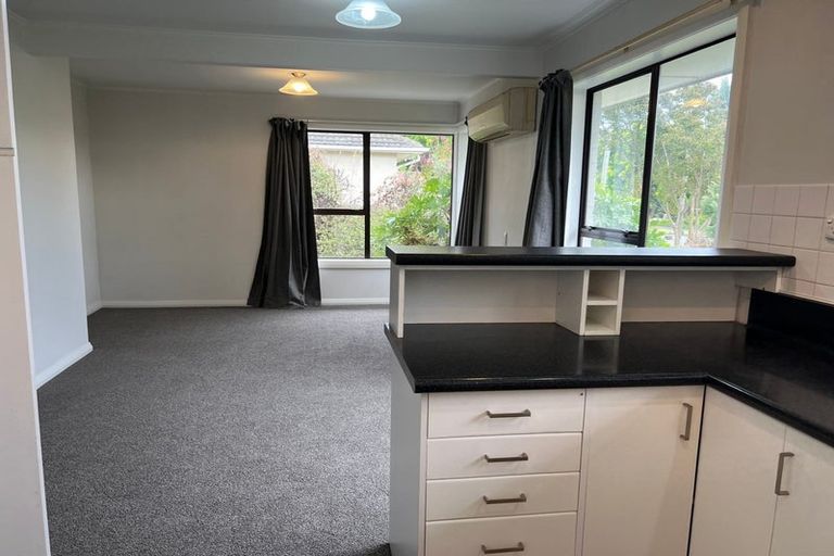 Photo of property in 25 Greenpark Street, Hoon Hay, Christchurch, 8025