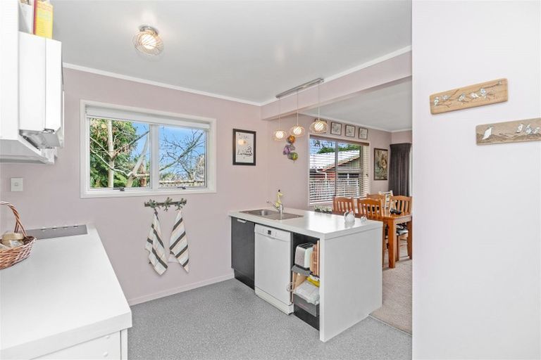 Photo of property in 29a Alison Street, Hamilton Lake, Hamilton, 3204