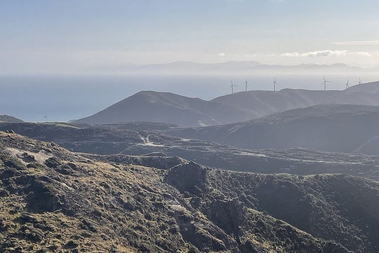 Photo of property in Long Gully Farm, 500 Hawkins Hill Road, Brooklyn, Wellington, 6021