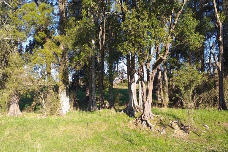 Photo of property in 1/69 Mckenzie Road, Mangere Bridge, Auckland, 2022