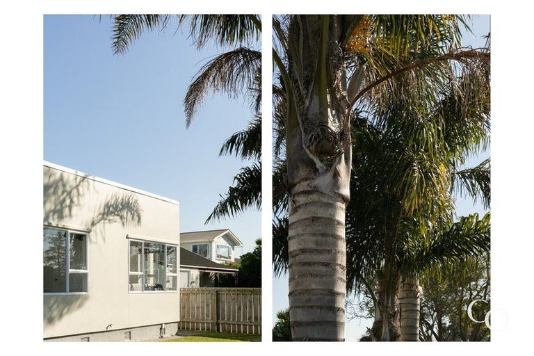 Photo of property in 72 Douglas Mclean Avenue, Marewa, Napier, 4110