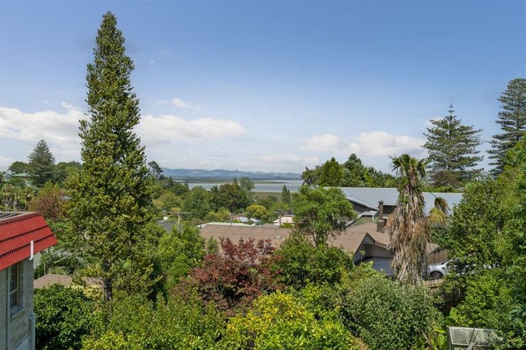 Photo of property in 201a Mill Street, Thames, 3500