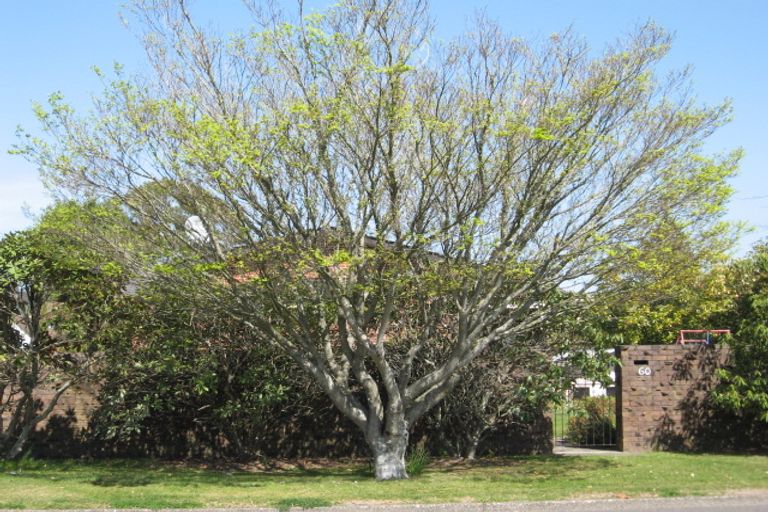 Photo of property in 60 Sophia Street, Glenholme, Rotorua, 3010