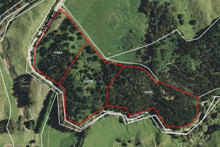 Photo of property in 1028b Mcivor Road, Rotoma, Whakatane, 3194