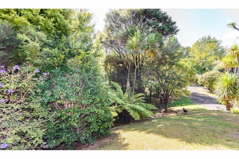 Photo of property in 1 Lancewood Avenue, Titirangi, Auckland, 0604