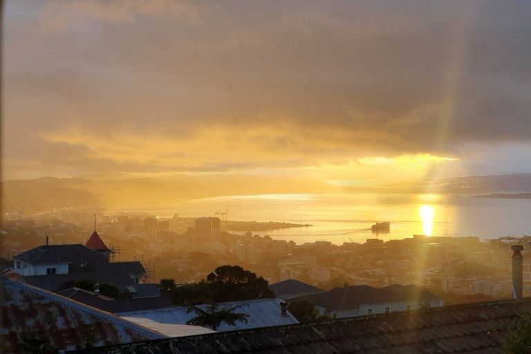 Photo of property in 91 Karepa Street, Brooklyn, Wellington, 6021