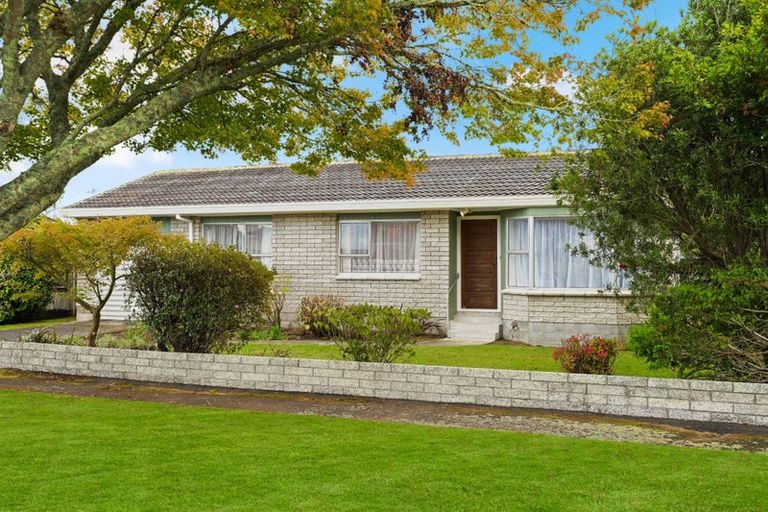 Photo of property in 15 Bains Avenue, Hamilton East, Hamilton, 3216