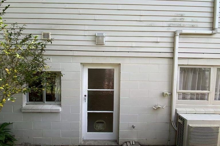 Photo of property in 29 Ayton Drive, Totara Vale, Auckland, 0629