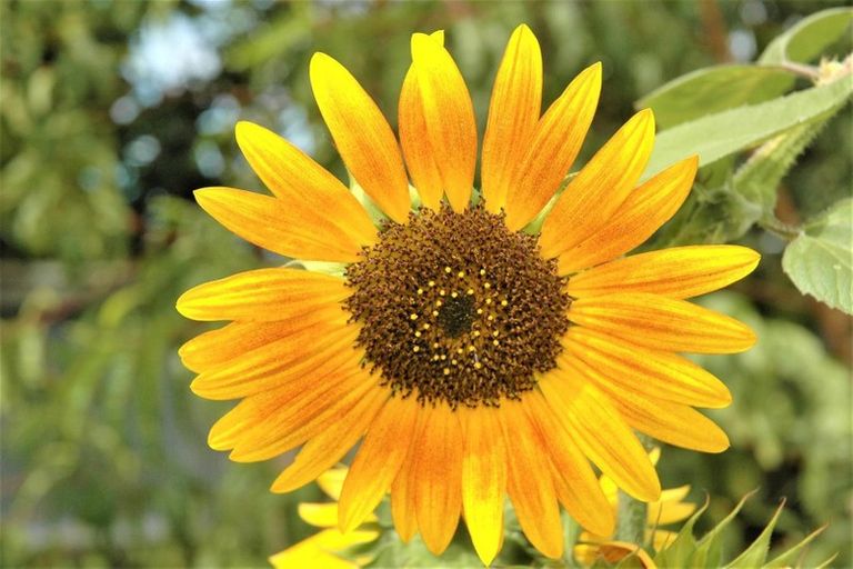 Photo of property in 107 Percival Street, Rangiora, 7400