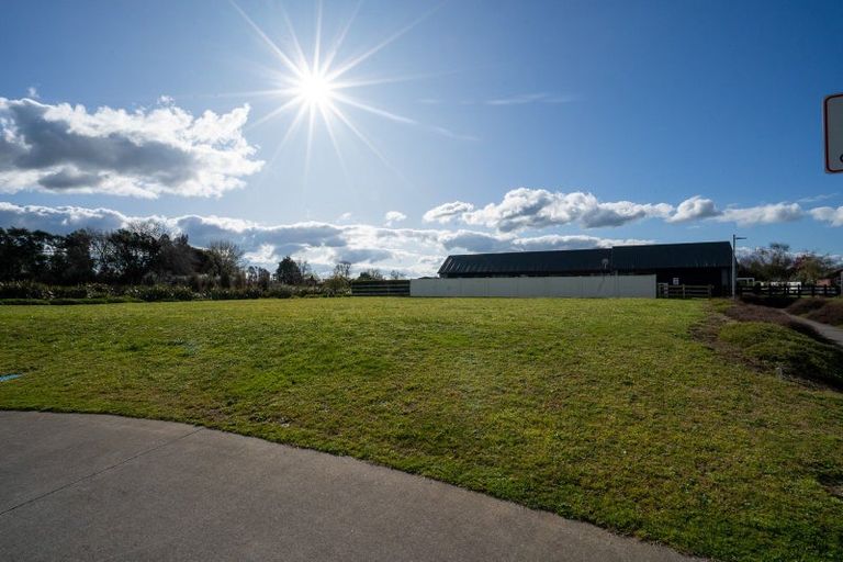 Photo of property in 10 Kotare Grove, Cambridge, 3434