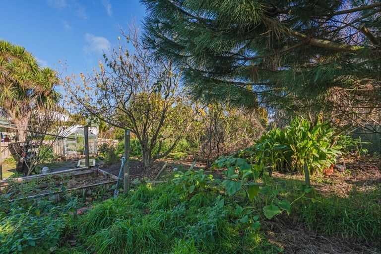 Photo of property in 24 Nelson Street, Feilding, 4702