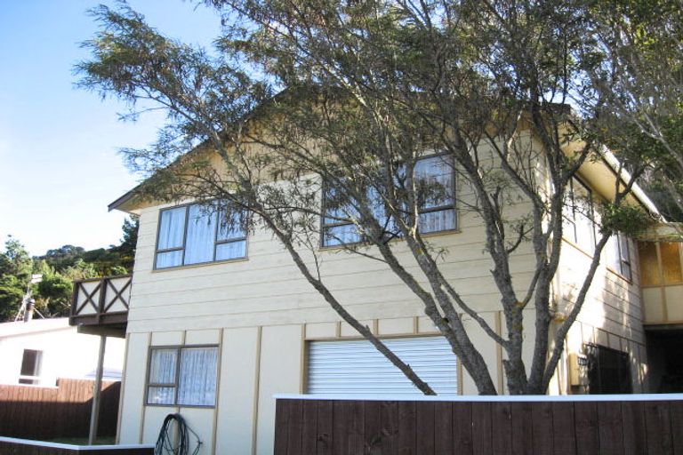 Photo of property in 45 Mcgowan Road, Wainuiomata, Lower Hutt, 5014