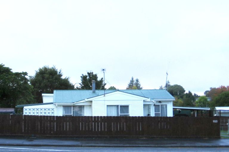 Photo of property in 103 Bridge Street, Tokoroa, 3420