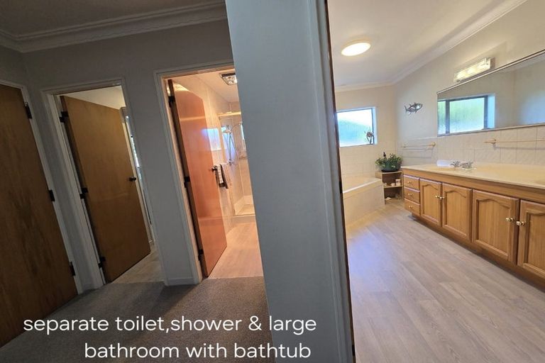 Photo of property in 41 Rewarewa Place, Matua, Tauranga, 3110