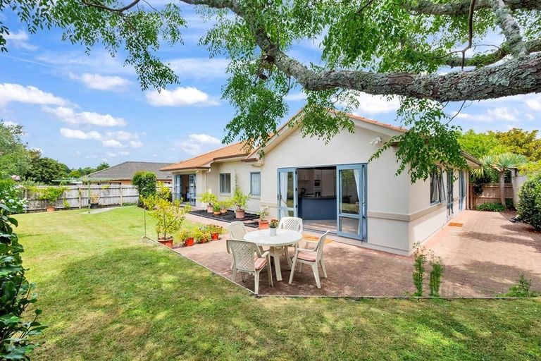 Photo of property in 45 Harvest Drive, Henderson, Auckland, 0612