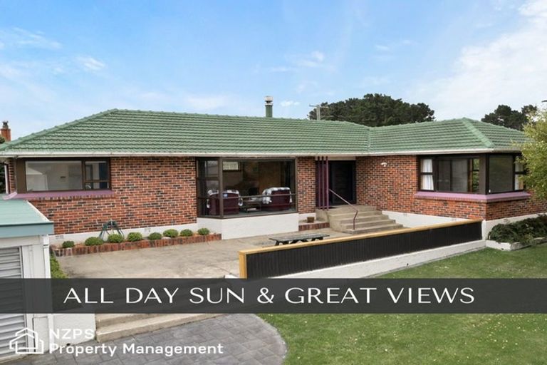 Photo of property in 2 Erskine Place, Saint Clair, Dunedin, 9012