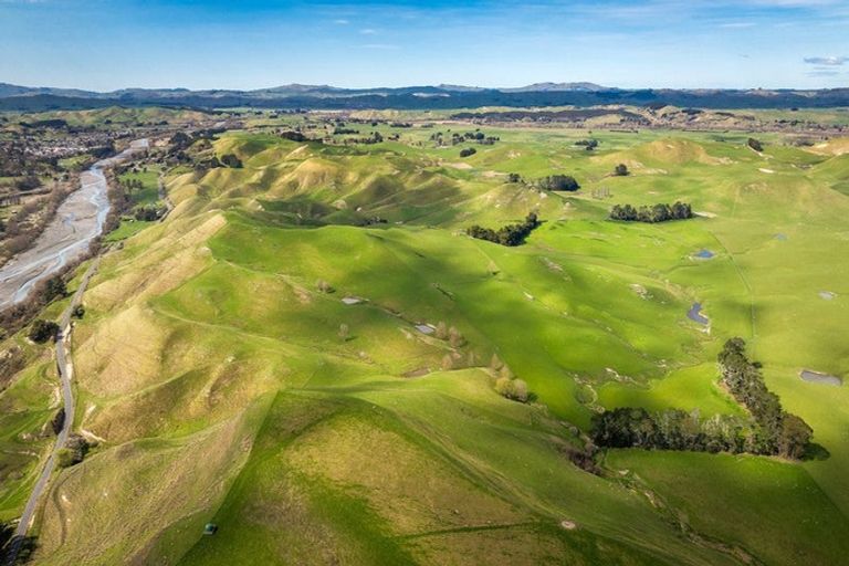 Photo of property in 226 Ongaonga Road, Waipawa, 4272