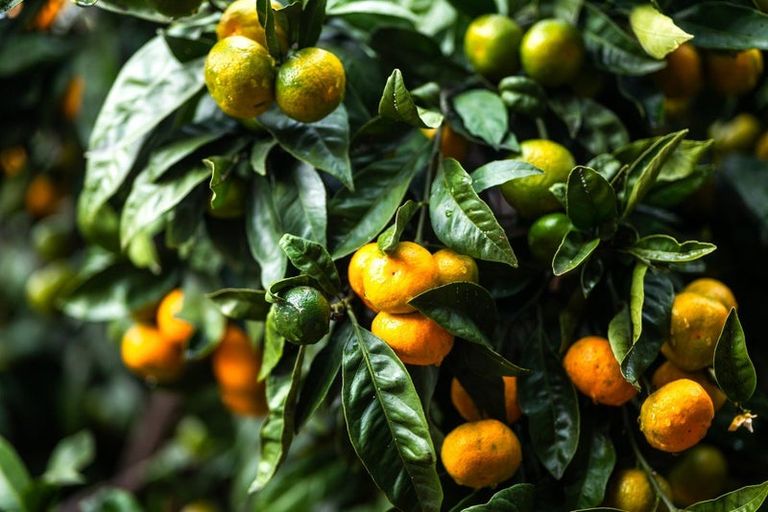 Photo of property in 3 Honey-tye Way, Stoke, Nelson, 7011