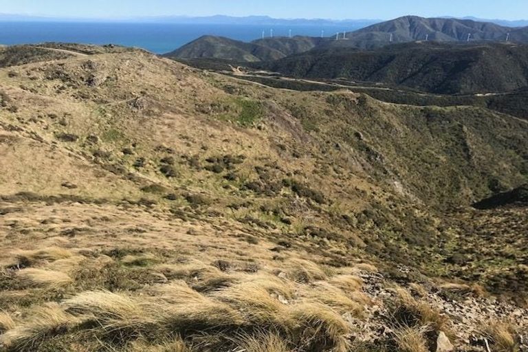 Photo of property in Long Gully Farm, 500 Hawkins Hill Road, Brooklyn, Wellington, 6021