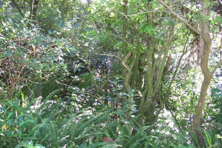 Photo of property in 139 Konini Road, Titirangi, Auckland, 0604