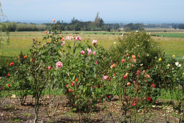 Photo of property in 104 Upper Hook Road, Makikihi, Waimate, 7978
