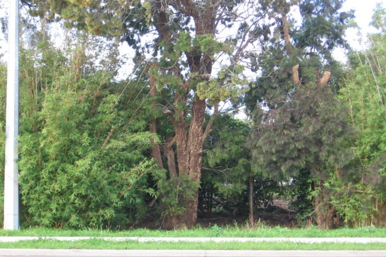 Photo of property in 97 Lincoln Road, Henderson, Auckland, 0610