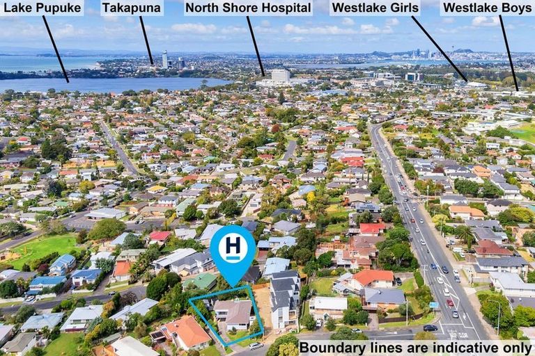 Photo of property in 46 Seine Road, Forrest Hill, Auckland, 0620