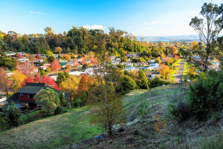 Photo of property in 71 Seddon Crescent, Whataupoko, Gisborne, 4010