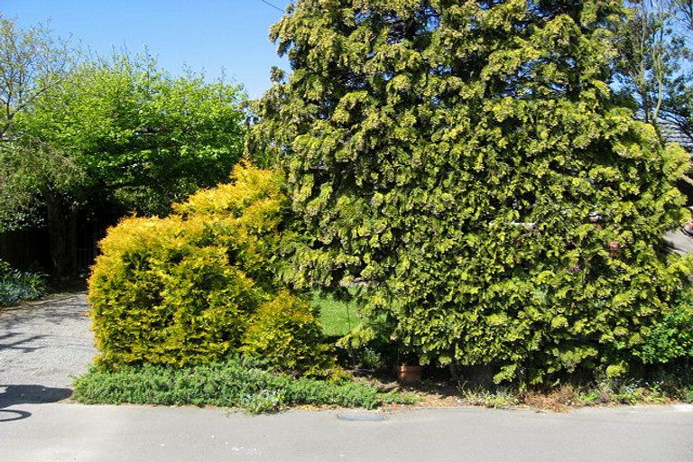 Photo of property in 29 Jocelyn Street, Casebrook, Christchurch, 8051