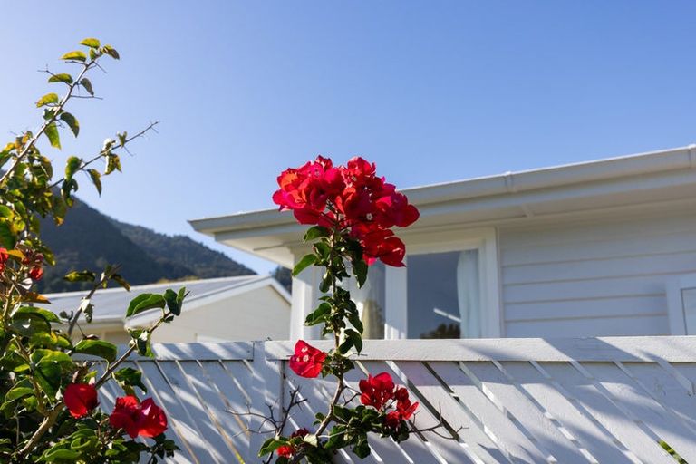 Photo of property in 19 Bracken Avenue, Te Aroha, 3320