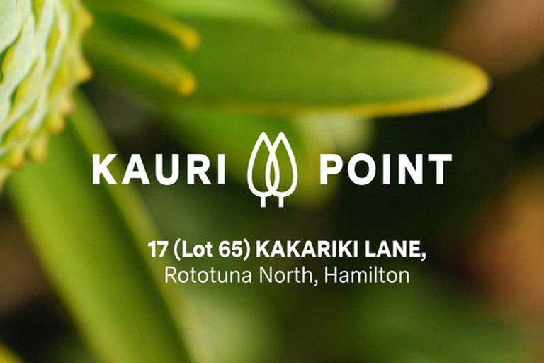 Photo of property in 17 Kakariki Lane, Rototuna North, 3210
