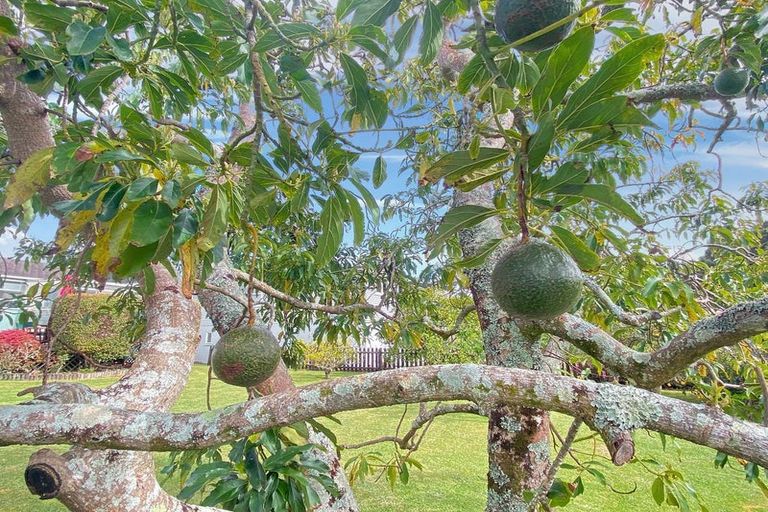 Photo of property in 24 Te Paka Crescent, Te Kamo, Whangarei, 0112