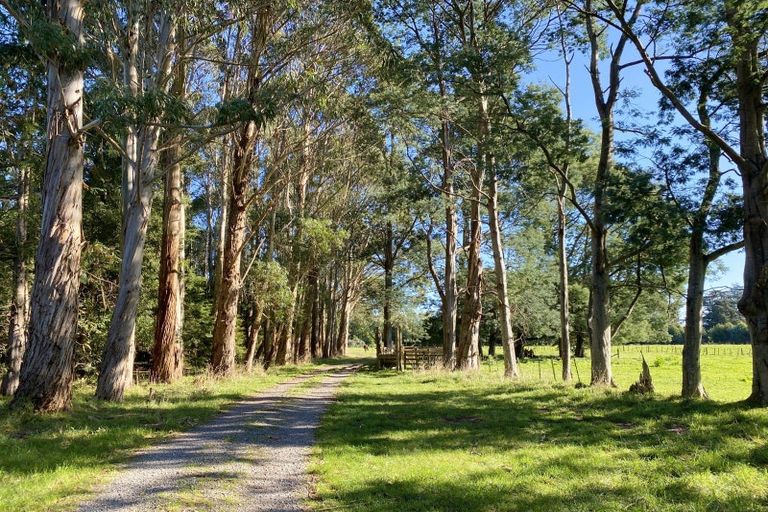 Photo of property in 258a Gladstone Road, Levin, 5571